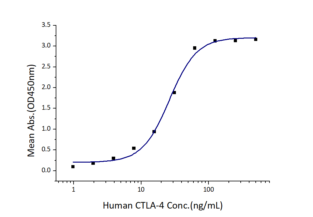Immobilized Human B7-2 (Myc tag, His tag) at 2 μg/mL (100mL/well) can bind Human CTLA-4 (hFc tag, Myc tag ,His tag) with a linear range of 13-52 ng/mL.