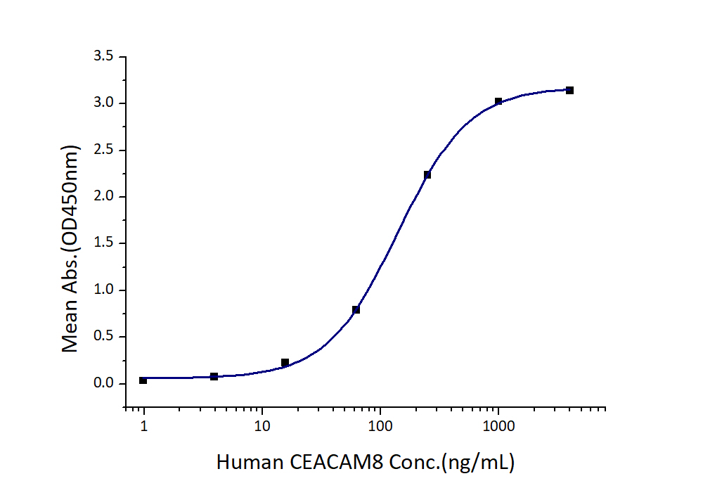 Immobilized Human CEACAM-1 (His tag) at 2 μg/mL (100 μL/well) can bind Human CEACAM-8 (hFc tag) with a linear range of 70-280 ng/mL.