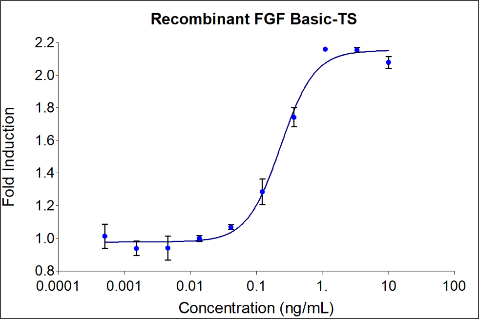 Recombinant human FGFbasic-TS (HZ-1285) stimulates dose-dependent proliferation of the HDFa human primary fibroblast cell line. Cell number was quantitatively assessed by Promega CellTiter 96® cell viability reagent. HDFa cells were treated with increasing concentrations of recombinant FGFbasic-TS for 48  hours. The EC50 was determined using a 4-parameter non-linear regression model. The EC50 range is 0.05-0.4 ng/mL.