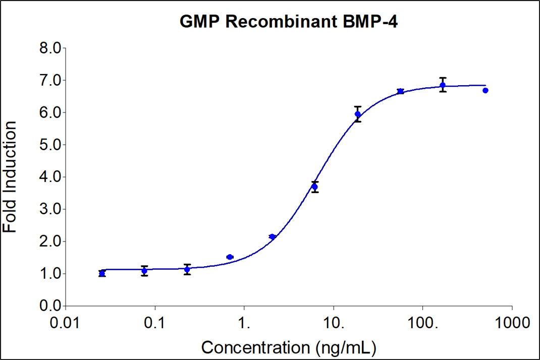 Recombinant human BMP-4 (HZ-1045-GMP) stimulates dose-dependent induction of alkaline phosphatase production in the ATDC-5 mouse chondrogenic cell line. Alkaline phosphatase production was assessed using pNPP as a chromogenic substrate. ATDC-5 cells were treated with increasing concentrations of recombinant human BMP-4 for 72 hrs hours before lysis and addition of pNPP. The EC50 was determined using a 4-parameter non-linear regression model.  Activity determination was conducted in triplicate on a validated bioassay. The EC50 values range from 1.5-9 ng/ml.