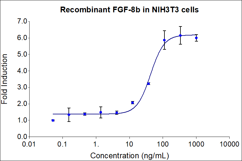 Recombinant human FGF-8b (HZ-1218) stimulates dose-dependent proliferation of the NIH/3T3 mouse fibroblast cell line. Viable cell number was quantitatively assessed by Prestoblue Cell Viability Reagent. NIH/3T3 cells were serum starved in 0.02% FBS with 1 ug/mL heparin during treatment with increasing concentrations of recombinant human FGF-8b for 72hrs. The EC50 was determined using a 4- parameter non-linear regression model. The EC50 values range from 10-60 ng/mL.

