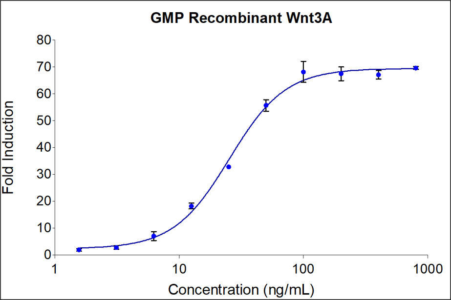 GMP Recombinant human GMP Wnt3A (HZ-1296-GMP) induces dose-dependent luciferase production in a HEK293 TCF/LEF reporter cell line. Luciferase assay production was assessed by One-Step™ luciferase assay Kit. HEK293 TCF/LEF reporter cells were treated with increasing concentrations of GMP recombinant Wnt3A for 6 hours. The EC50 was determined using a 4-parameter non-linear regression model. Activity determination was conducted in triplicate on a validated bioassay.  The EC50 range is 25-125 ng/mL