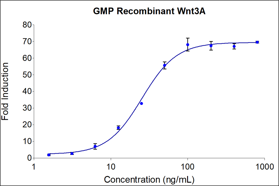 GMP Recombinant human GMP Wnt3A (HZ-1296-GMP) induces dose-dependent luciferase production in a HEK293 TCF/LEF reporter cell line. Luciferase assay production was assessed by One-Step™ luciferase assay Kit. HEK293 TCF/LEF reporter cells were treated with increasing concentrations of GMP recombinant Wnt3A for 6 hours. The EC50 was determined using a 4-parameter non-linear regression model. Activity determination was conducted in triplicate on a validated bioassay.  The EC50 range is 25-500 ng/mL.