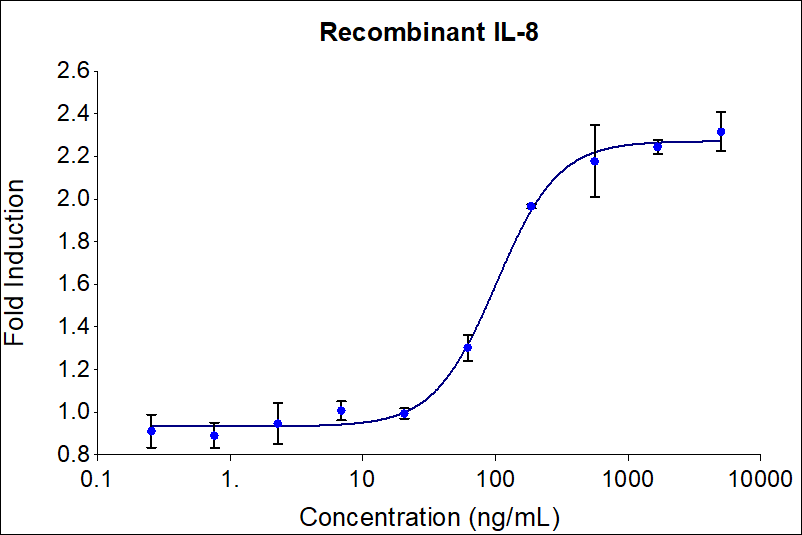 Recombinant human IL-8 (HZ-1318) stimulates dose-dependent proliferation of the THP-1 human monocyte cell line. Cell number was quantitatively assessed by PrestoBlue® Cell Viability Reagent. THP-1 cells were treated with increasing concentrations of recombinant IL-8 for 144 hours. The EC50 was determined using a 4-parameter non-linear regression model. The EC50 range is 100-500 ng/mL.

