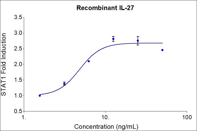 The activity was determined by the dose-dependent phosphorylation of Stat1 in human liver hepatocellular carcinoma HepG2 cells.