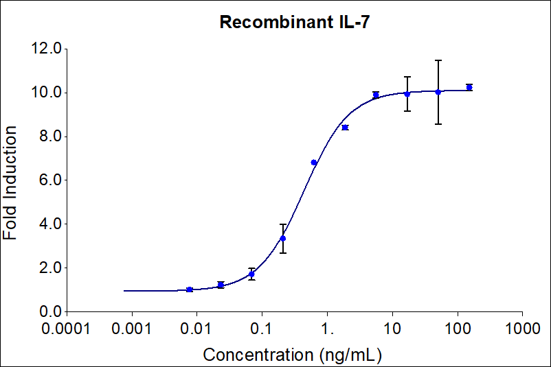 Recombinant human IL-7 (HZ-1281) stimulates dose-dependent proliferation of the 2E8 murine B Lymphocyte cell line. Cell number was quantitatively assessed by PrestoBlue® Cell Viability Reagent. 2E8 cells were treated with increasing concentrations of recombinant IL-7 for 120 hours. The EC50 was determined using a 4-parameter non-linear regression model. The EC50 range is 0.1-1.4 ng/mL.

