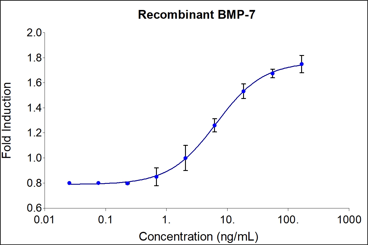Recombinant human BMP-7 (HZ-1229) stimulates dose-dependent induction of alkaline phosphatase production in the ATDC-5 mouse chondrogenic cell line. Alkaline phosphatase production was assessed using pNPP as a chromogenic substrate. ATDC-5 cells were treated with increasing concentrations of recombinant human BMP-7 for 72 hours before lysis and addition of pNPP. The EC50 was determined using a 4-parameter non-linear regression model. The EC50 values range from 3.6-18.5 ng/ml.