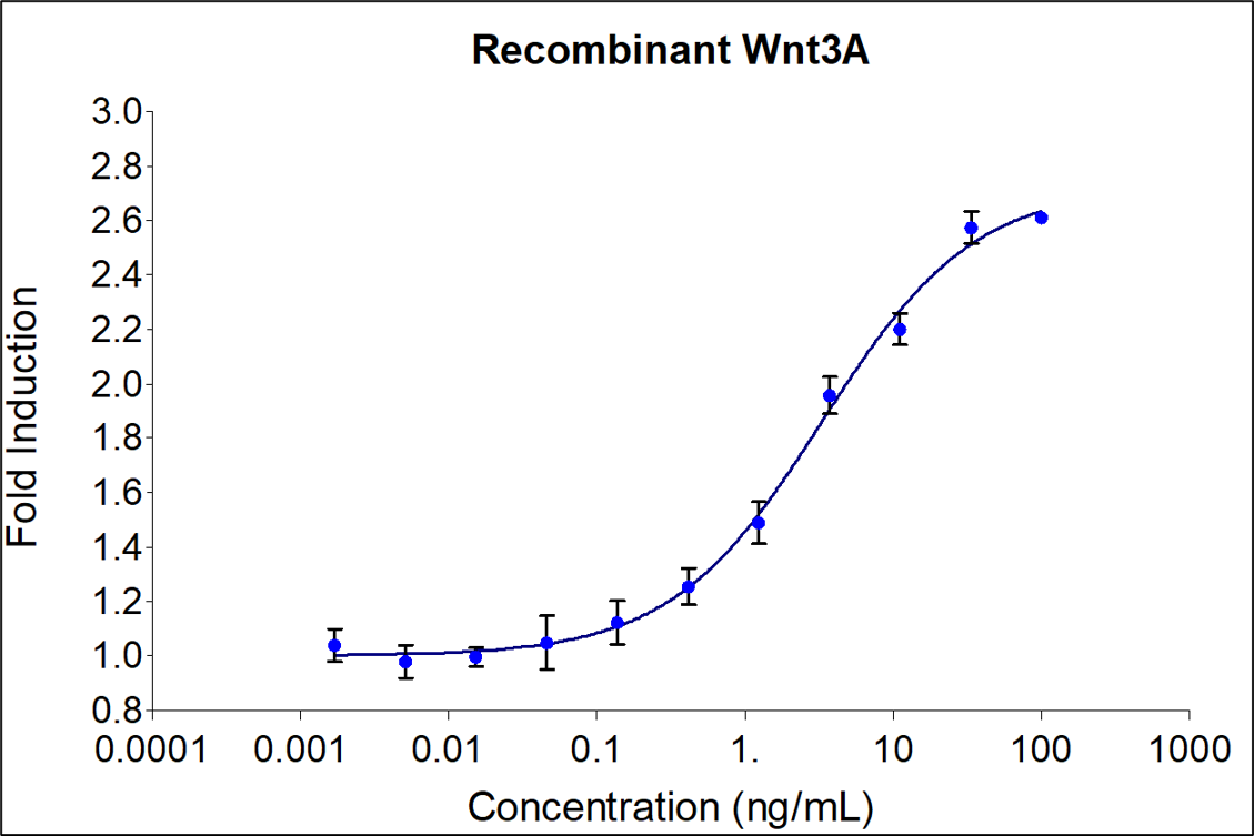 Recombinant human Wnt3A (HZ-1296)  induces dose-dependent alkaline phosphatase production in MC3T3 E1 mouse preosteoblast cells using pNPP as chromogenic substrate. MC3T3 E1 cells were treated with increasing concentrations of recombinant Wnt3A for 72 hours. The EC50 was determined using a 4-parameter non-linear regression model. The EC50 range is 2-17 ng/mL.