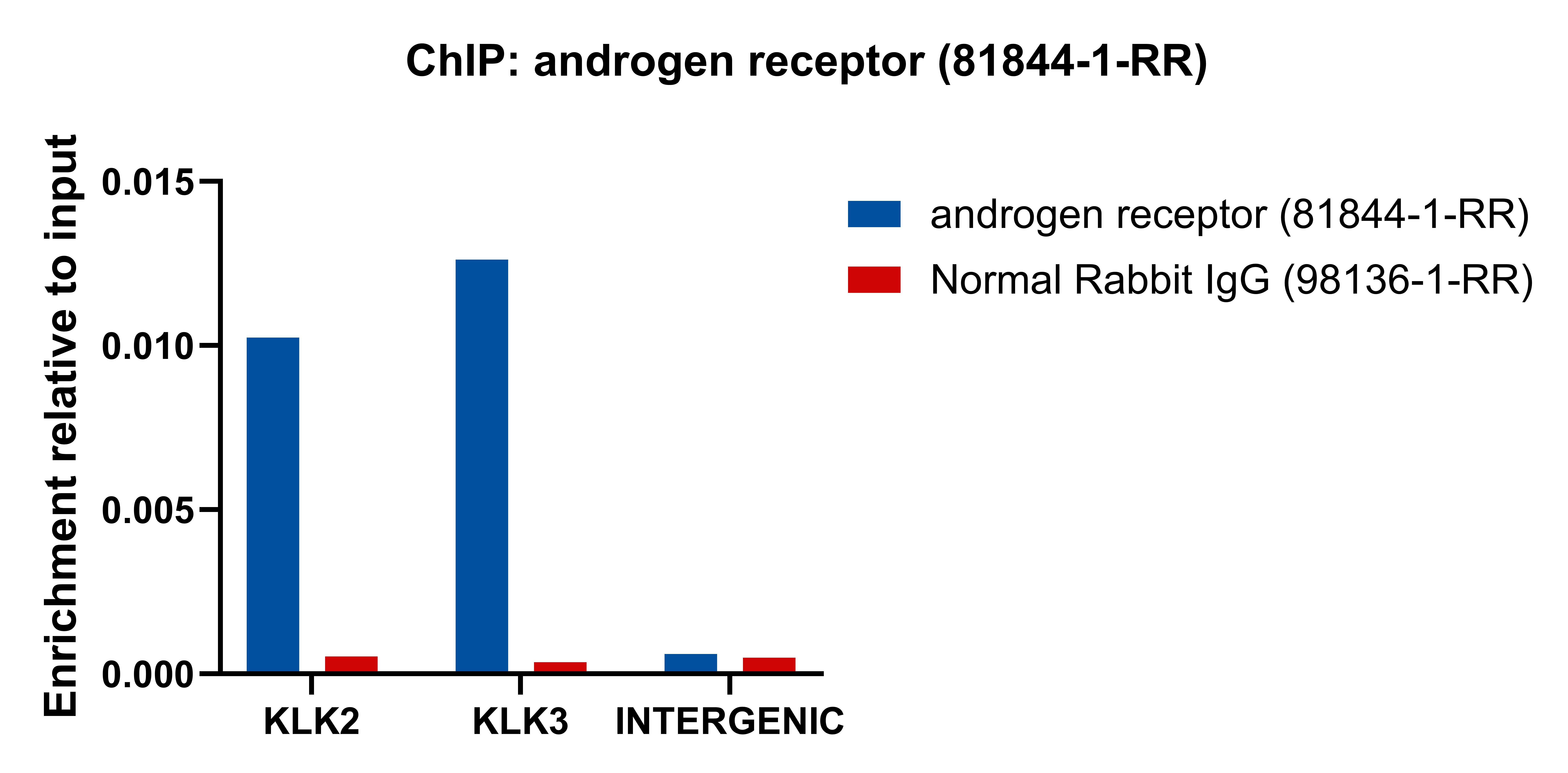 ChIP experiment of LNCaP using 81844-1-RR