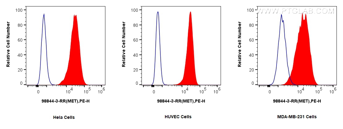 FC experiment of HeLa using 98844-3-RR (same clone as 98844-3-PBS) FC experiment of HeLa using 98844-3-RR (same clone as 98844-3-PBS)