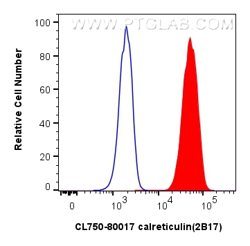 FC experiment of K-562 using CL750-80017