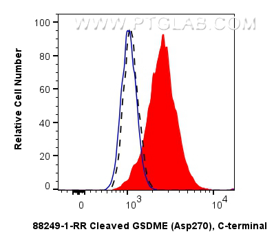 FC experiment of SH-SY5Y using 88249-1-RR (same clone as 88249-1-PBS) FC experiment of SH-SY5Y using 88249-1-RR (same clone as 88249-1-PBS)