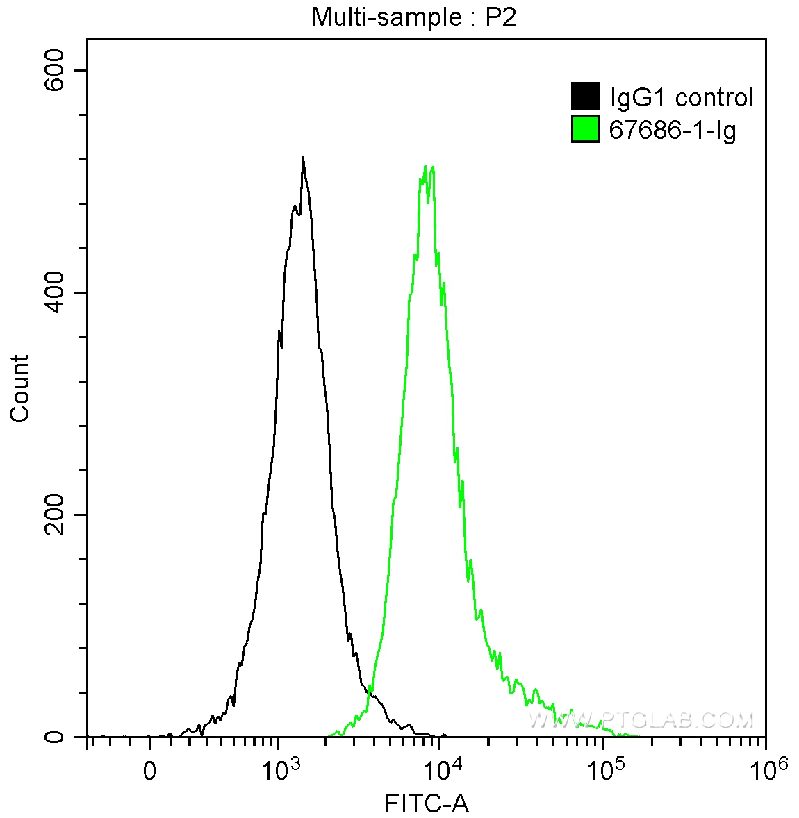 FC experiment of Jurkat using 67686-1-Ig