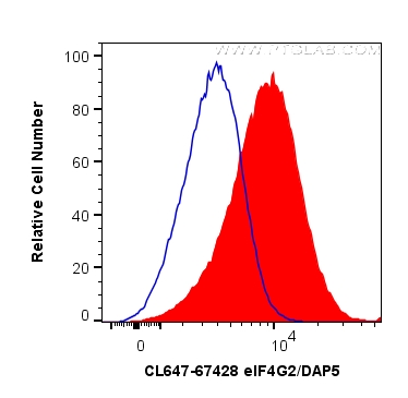 eIF4G2/DAP5