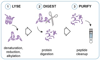 Preomics Technology Priciple.