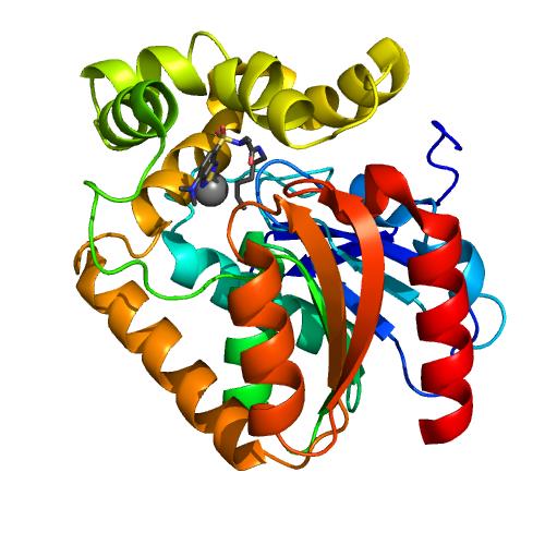 Structure of Halo.