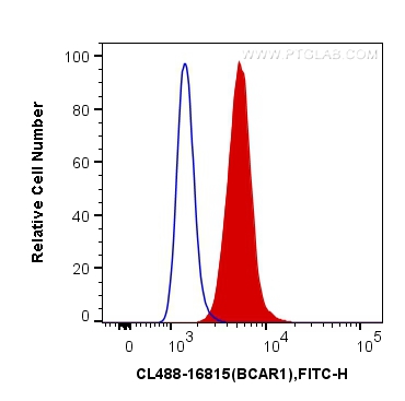 FC experiment of A431 using CL488-16815