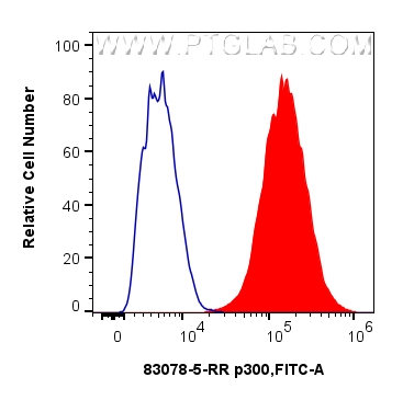 FC experiment of THP-1 using 83078-5-RR
