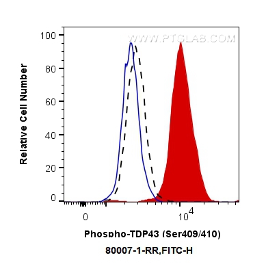 FC experiment of Jurkat using 80007-1-RR (same clone as 80007-1-PBS)