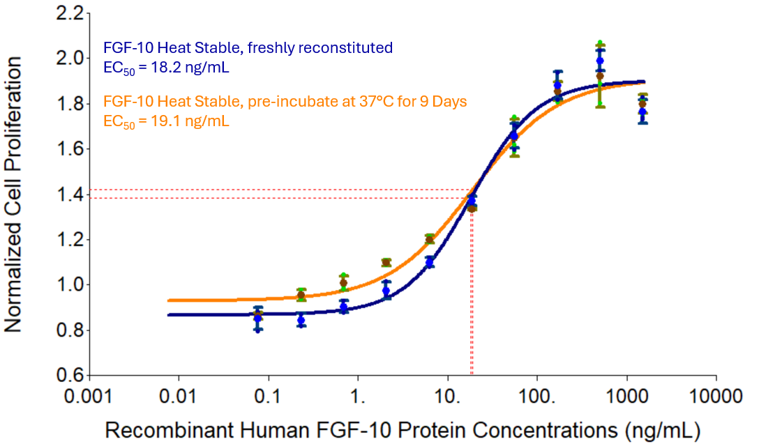 Recombinant human FGF-10 Heat Stable protein (Cat no: HZ-1344) stimulates dose-dependent proliferation of the MCF-7 human breast cancer cell line in serum free medium. Cell number was quantitatively assessed by PrestoBlue® Cell Viability Reagent. HumanKine FGF-10 Heat Stable was reconstituted and pre-incubated in assay medium for 9 days at 37°C before bioassay. MCF-7 cells were treated with increasing concentrations of recombinant FGF-10 Heat Stable for 96 hours. Compared with freshly reconstituted FGF-10 Heat Stable protein, pre-incubated HumanKine FGF-10 retains the same potency. 