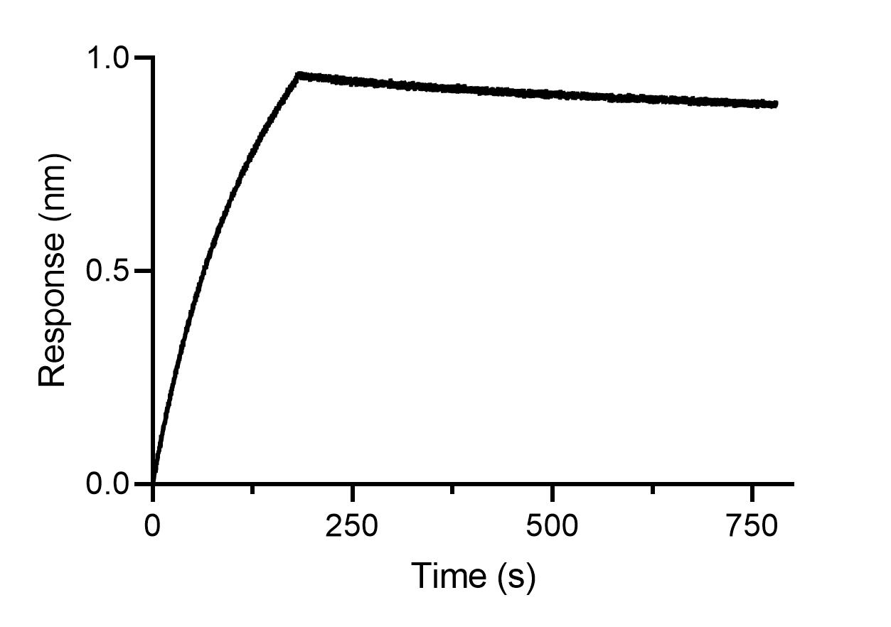 BLI binding kinetics of a human IgE antibody. 20 nM human IgE antibody was immobilized using Nano-CaptureLigand human IgE, VHH, biotinylated on FortéBio Streptavidin (SA) Biosensors. Human IgE is stably captured by the Nano-CaptureLigand with negligible dissociation.