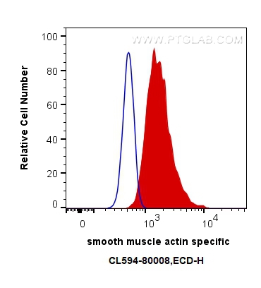 FC experiment of C2C12 using CL594-80008