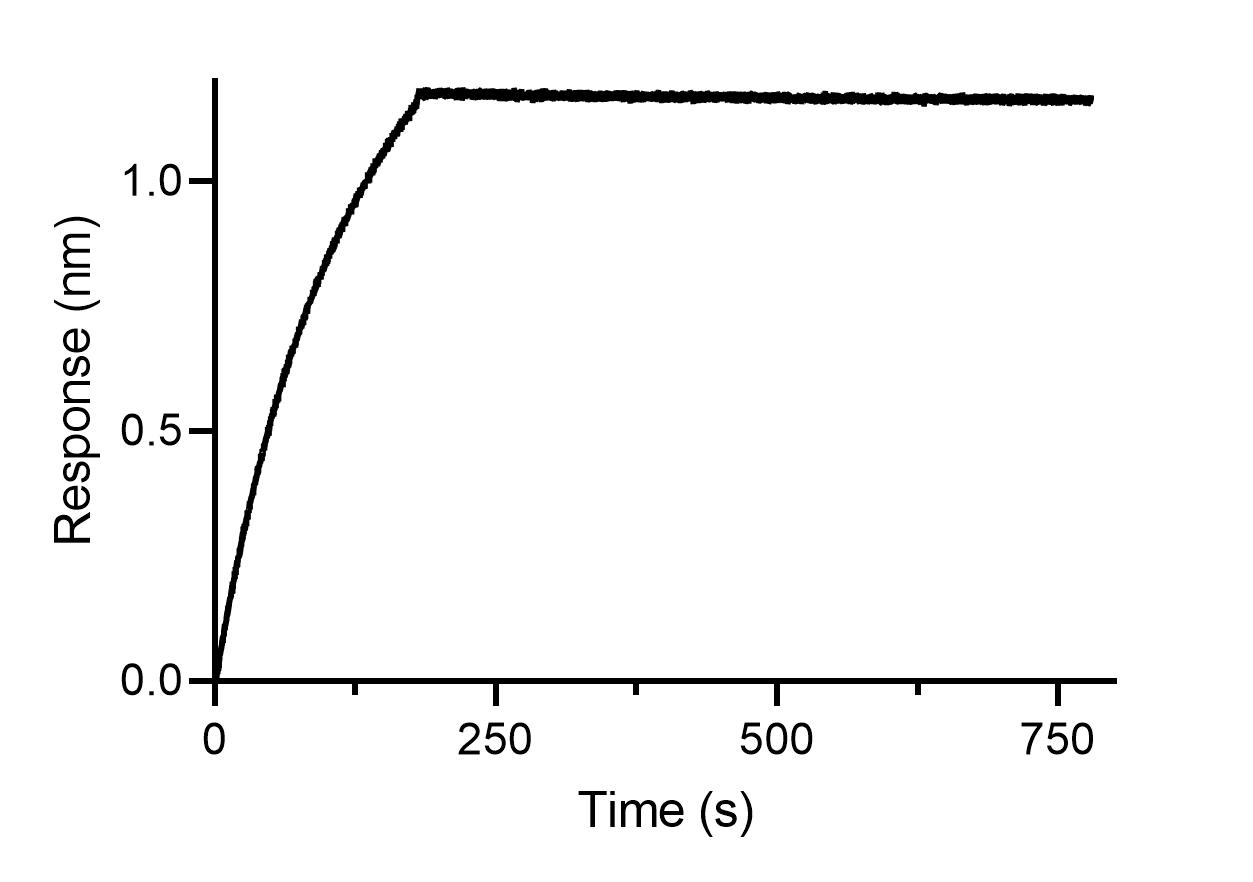 BLI binding kinetics of a mouse IgE antibody. 20 nM mouse IgE antibody was immobilized using Nano-CaptureLigand mouse IgE, VHH, biotinylated on FortéBio Streptavidin (SA) Biosensors. Mouse IgE is stably captured by the Nano-CaptureLigand with negligible dissociation.