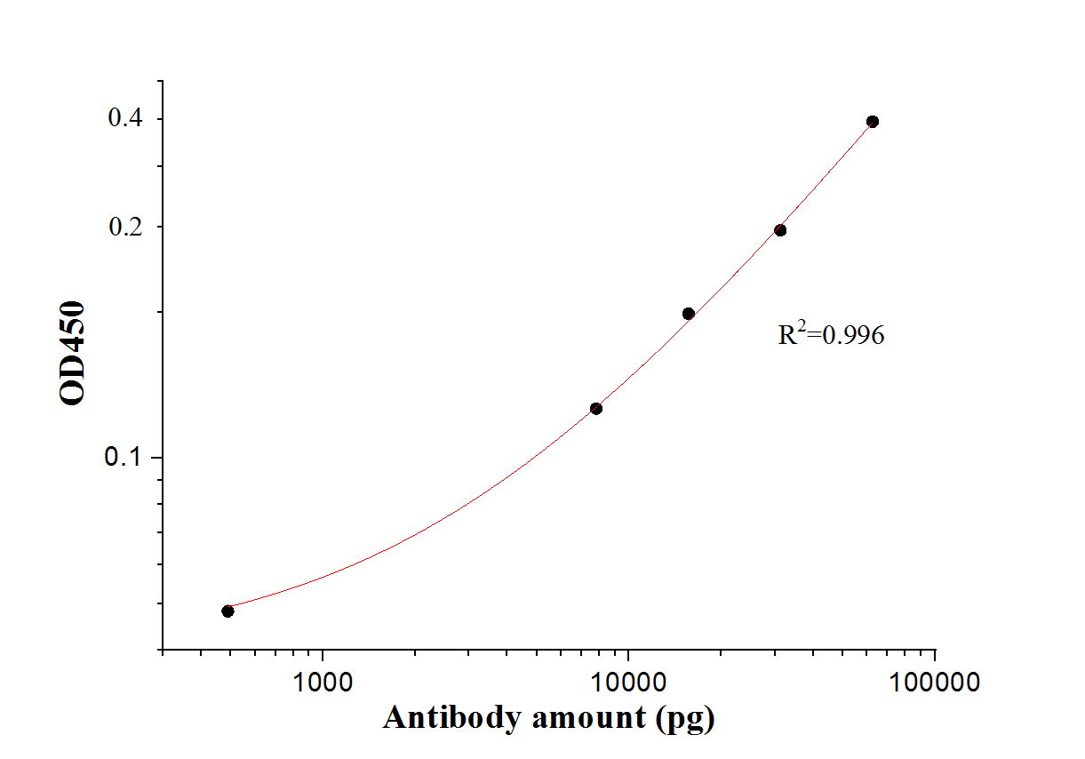 SARS-CoV-2 S protein (126-264 aa)