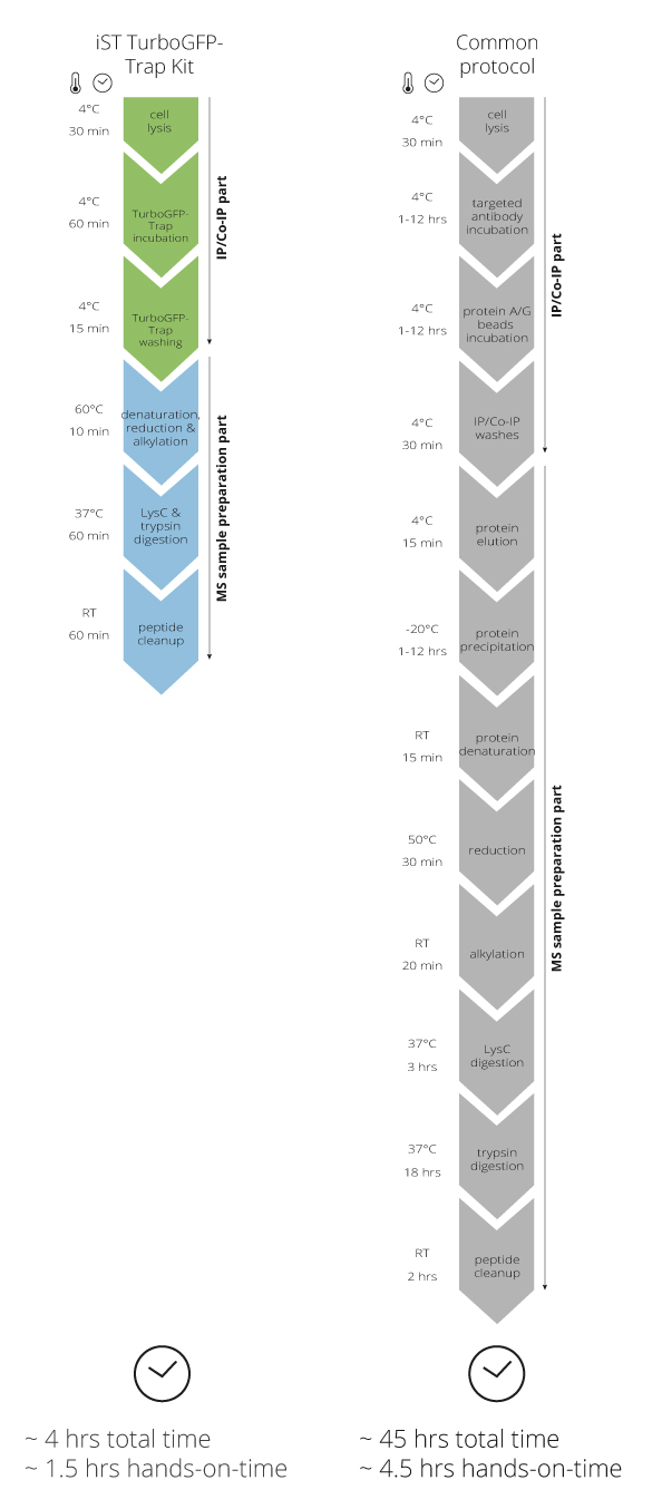 Make the most of your time and gain about 40 hours with the iST_TurboGFP-Trap Kit