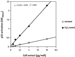 Monitoring p53 activation