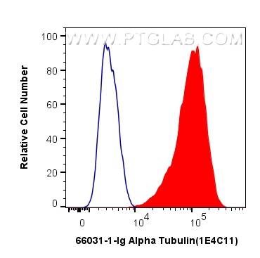 FC experiment of HeLa using 66031-1-Ig (same clone as 66031-1-PBS)